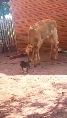 Размер не имеет значения