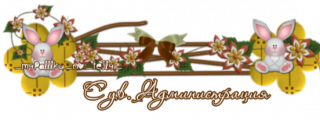 администрация