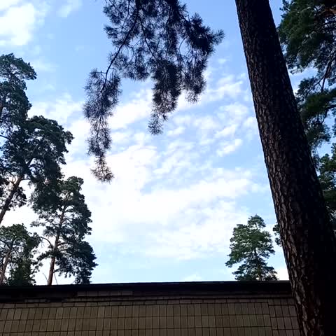 video-eb86a428d714174ff352d9fb8306c633-V