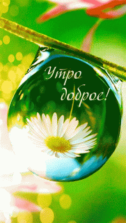 GIF-127be5d1a38ba41274d9badc2755dd6d