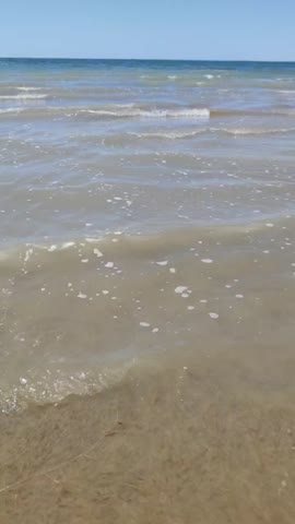 VID_20220819_035137_772