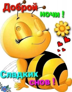 FB_IMG_16610244388401005