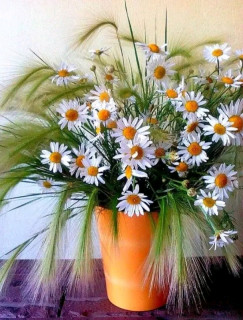 FB_IMG_16610254195638002