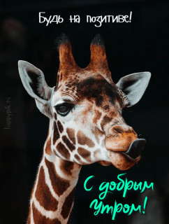 IMG-d83b4423e27c0fd2d6b865a68f8e70bb