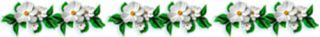 0155