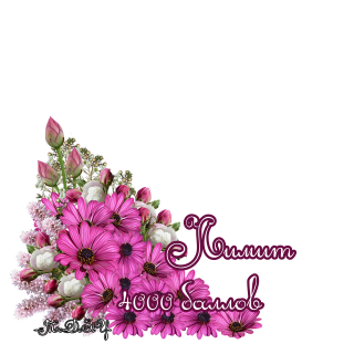 Foiz_PRO_AddText_08-23-07_55_03