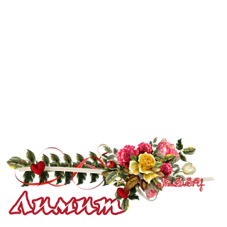 Foiz_PRO_AddText_08-23-08_01_24