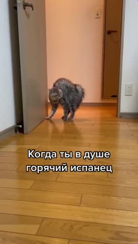 Потешка
