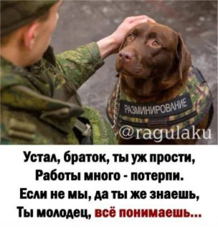 IMG_20220824_204508_033