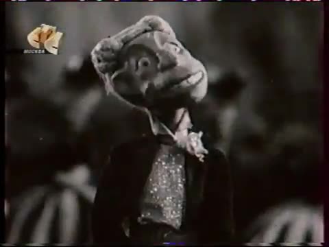 моя_лилипуточка