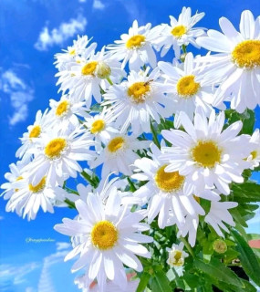 FB_IMG_16617696543225179