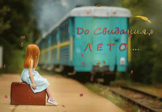 GIF-48e33118cb21f9b7173991a7c94d0cb7