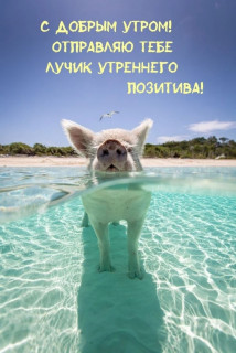 -Qze_FLagDI