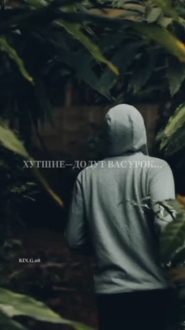 2_5224392721296269420