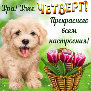 IMG-de5f47d8eb556e26f354e03c4a2a9727