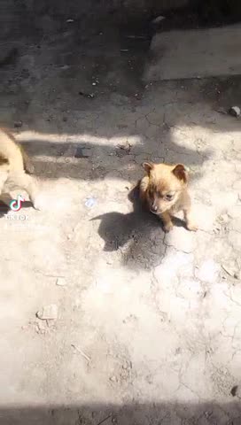 53cd6a55d73a892bb207f7614f5da864