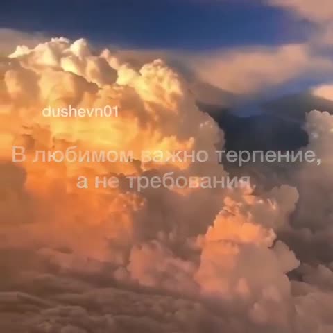 VID_20220902_225042_813