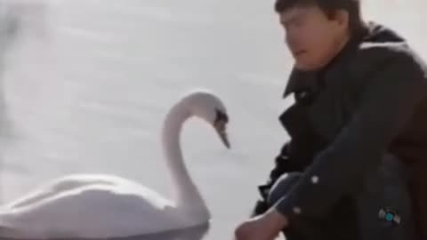 у_беды_глаза_зеленые