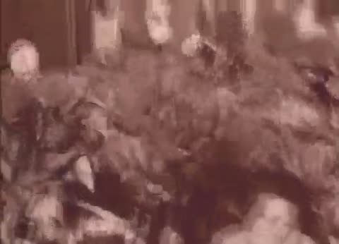 СЕКТОР_ГАЗА_-_Туман-