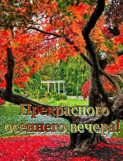 FB_IMG_16622196061148845