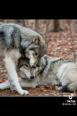 cb6632a50dc84f9c84663e1a3a52237f