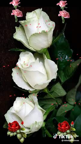 6372e4d71369c4a5fadd09251a69d6c1