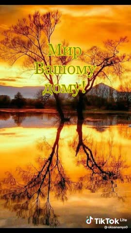 4e67caf3bbb1482464a1b8e5956d603c