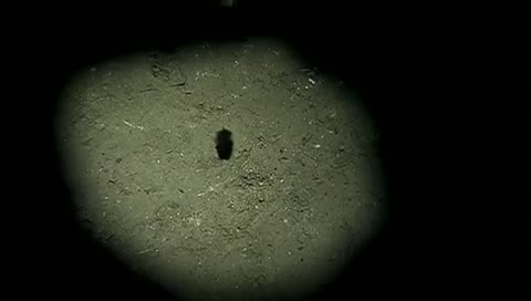 AРИЯ_-_Осколок_льда