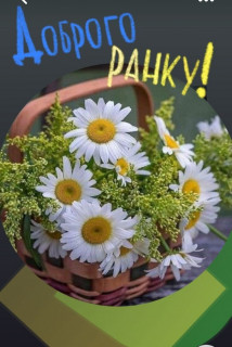 IMG-caf2bfe7b0dfc50eb6ef62b766bca953-V