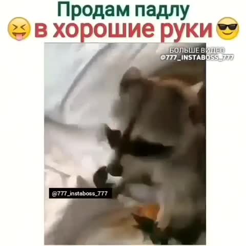 video-c10f6e5f5968fd6574565dd94d75eaaf-V