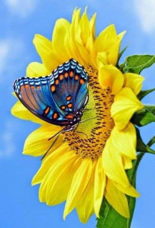 IMG-d1d5105a617ba7e12c1b2a8e726afad5-V