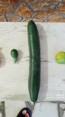 14ac78163c99d2a7ec02b37dacbaf4de