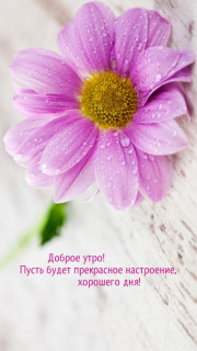 IMG-1aaae84974de0d3ce9f228433d4207eb