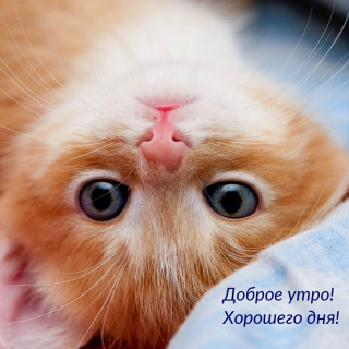 IMG-62d28ed16c6e528be6f3f7f9002e63bc