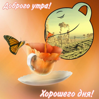 IMG-ddf6b99ce9b6f36ce3b830c61619b564-