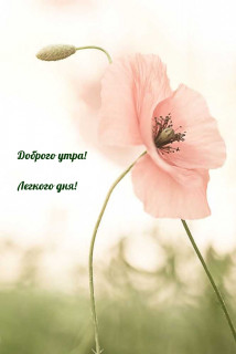 IMG-621eae1c33fb5a51928dd6213182fc3b