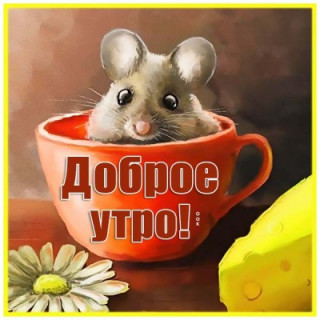 IMG-eefd85249077caa8ddd328201acb1320-