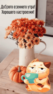 GIF-0f8179e975d838b834a39358054ef202