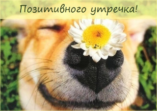 IMG-51f278fd24c339f0f07eb3b28f659832-