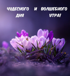 IMG-0db2934917633fb60684646300206502-