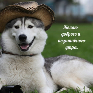 IMG-9c28e89986fdbe2d602a07903eca1a10-
