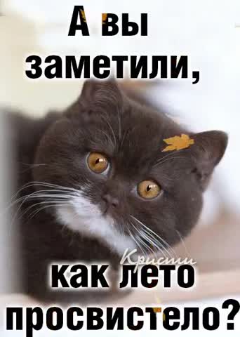 улетело лето