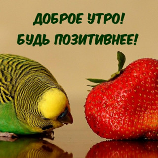 IMG-0cabdf370b791a20a5849231d68ea12d-