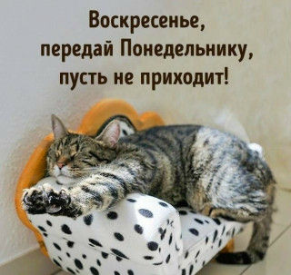 IMG-b63d1b384fc5957f9085fdc8ebd7a1f1-