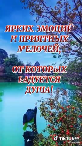 7341251a7d341a4bdcf417ea6cff172d