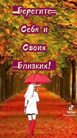 video-365cc528a5bba7e99f629aca8cfedac8-V