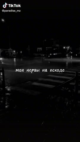 653c5b337582a3cf07b4f9e08e5153a8