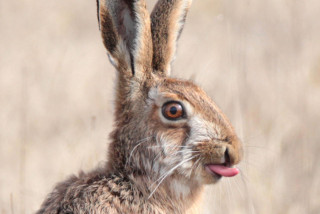 upload-07-pic_32ratio_900x600-900x600-51591