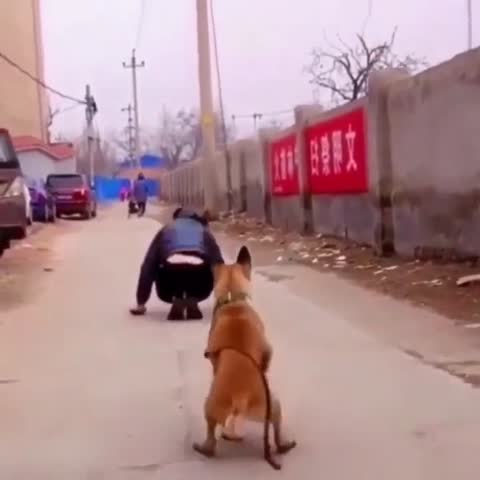 зарядку_делаем