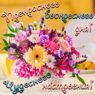 IMG-8ed7ba063670399c36cfbdeccf2efddc-